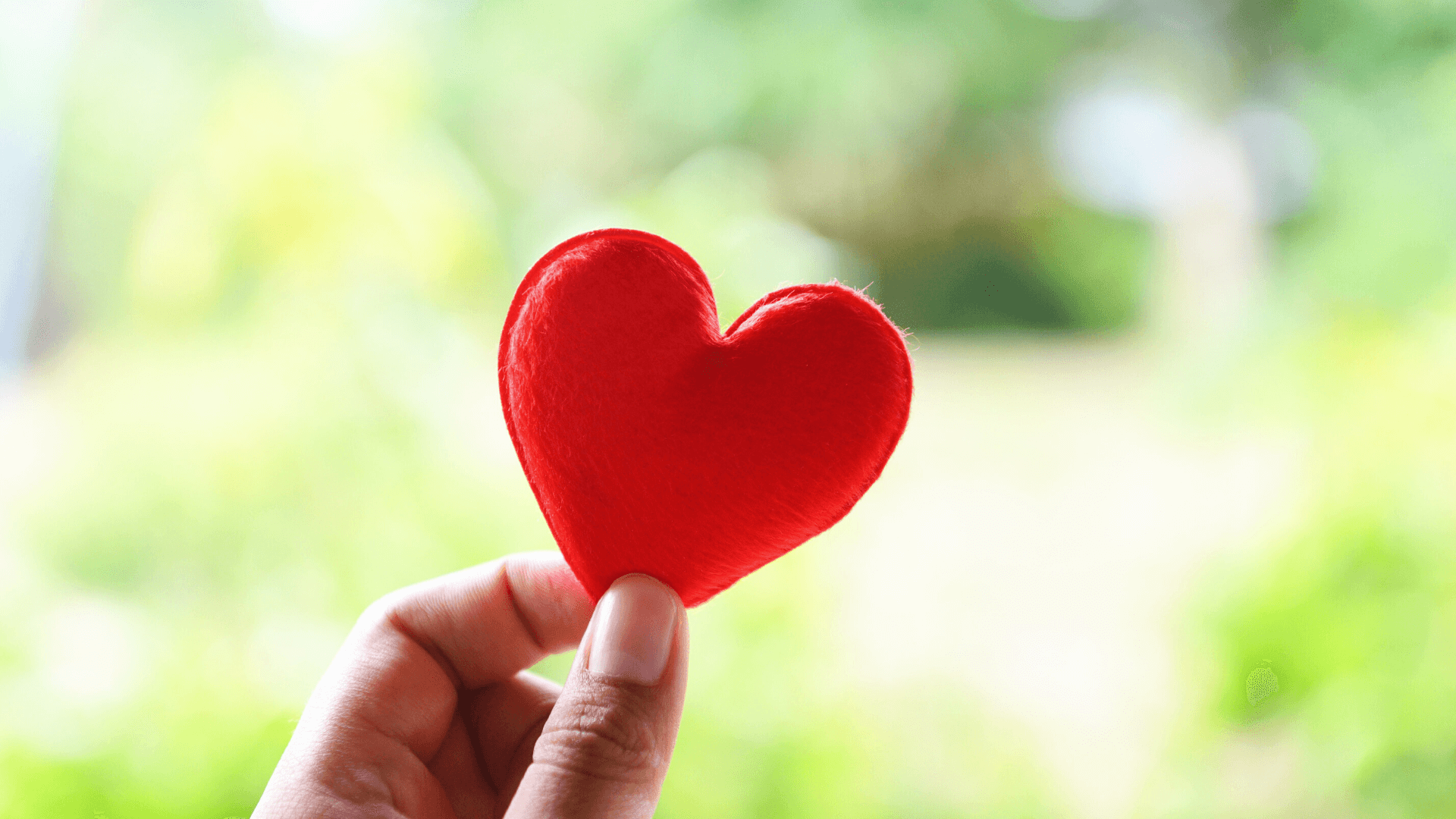 Update: Our Response to COVID-19 image