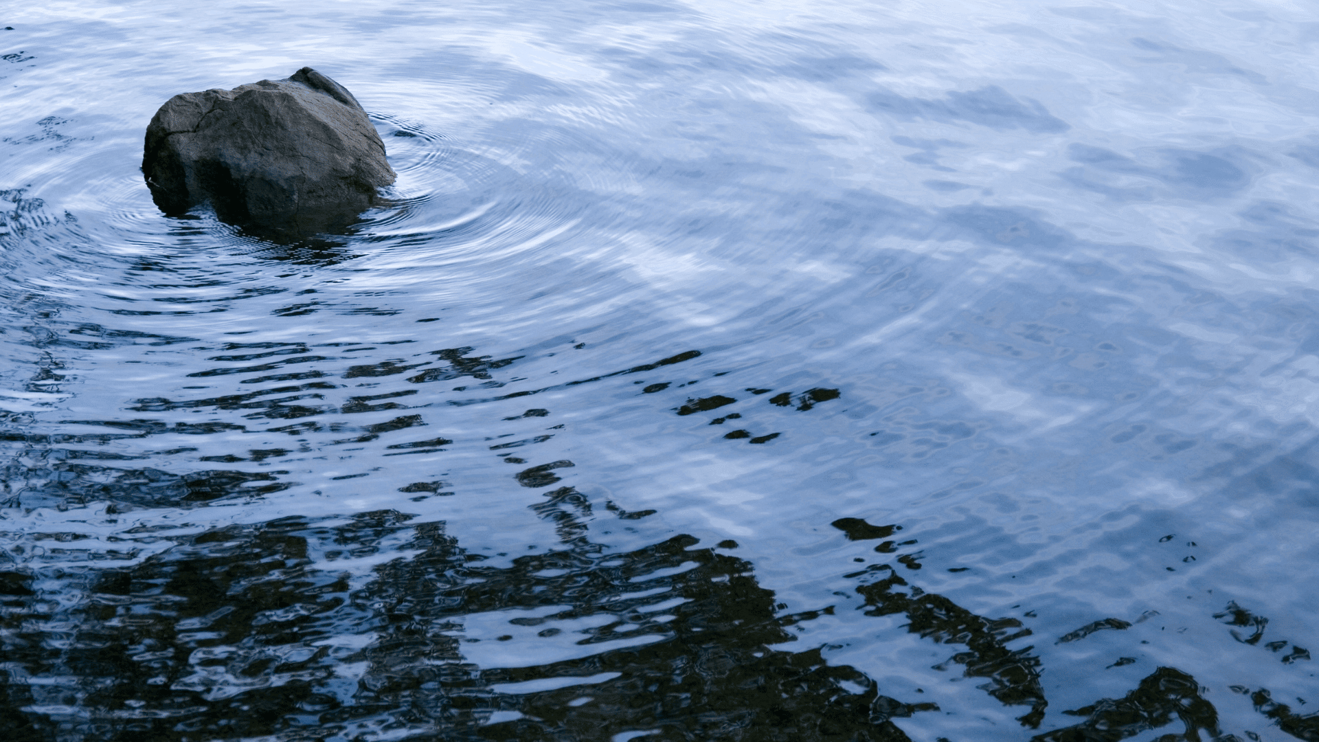 With Corporate Recovery in Full Swing, Some Market Distortions Emerge image