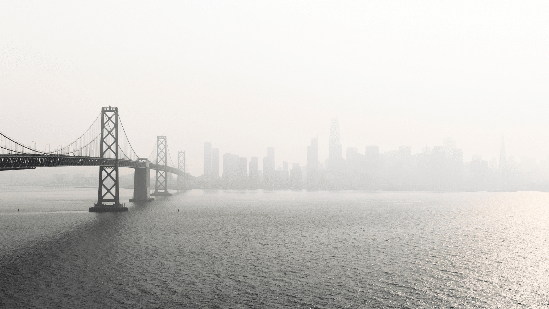 Navigating Financial Uncertainty in the Bay Area image