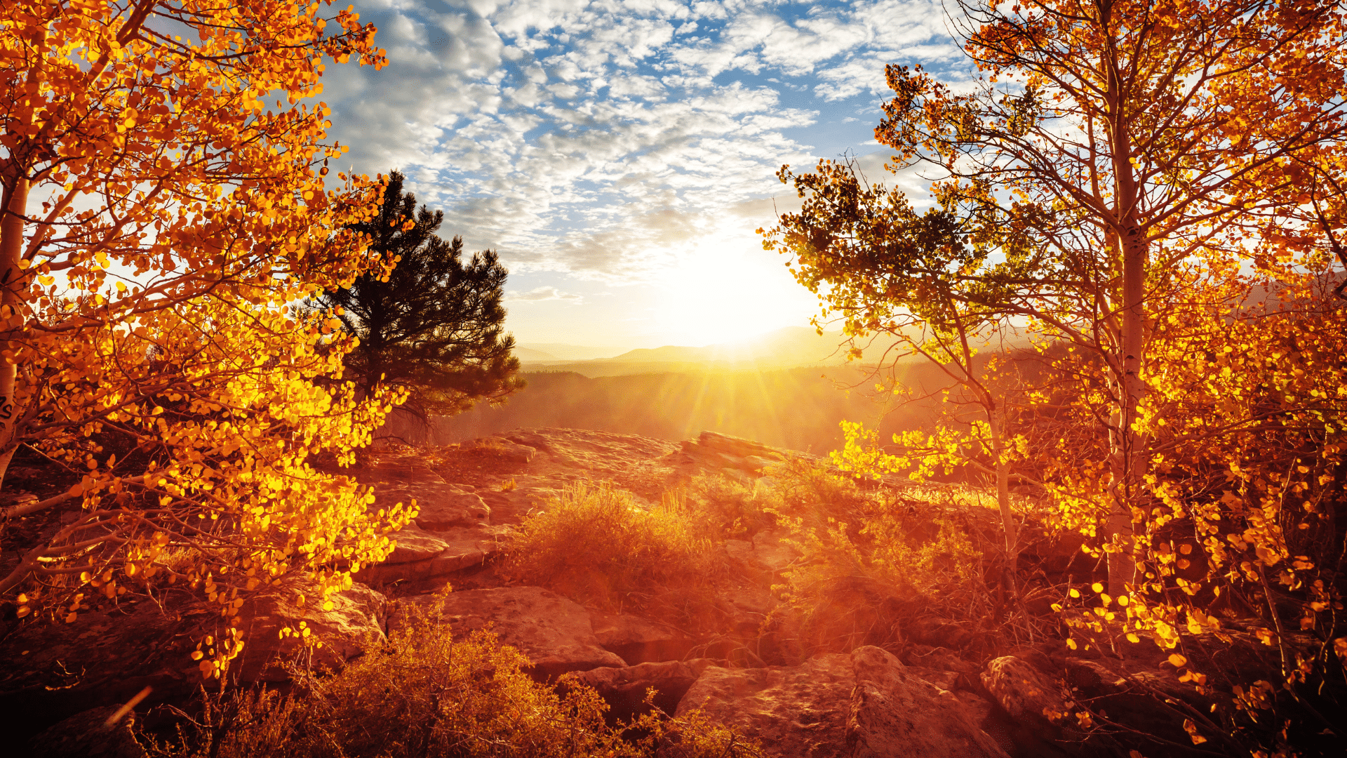 Decoding Q3: From Fed Moves to Market Reactions – A Closer Look at Stocks, Bonds, and Rising Rates image