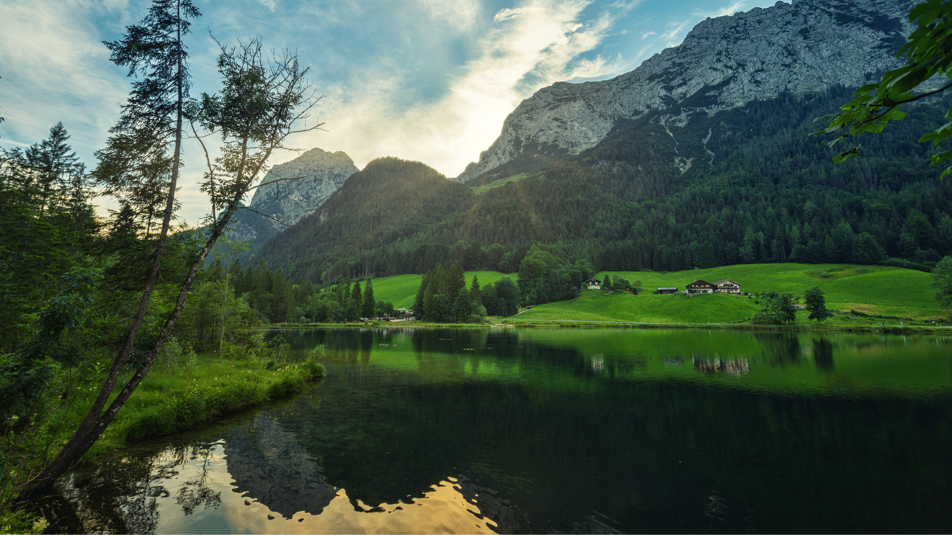 Investment Markets and the Human Psyche image