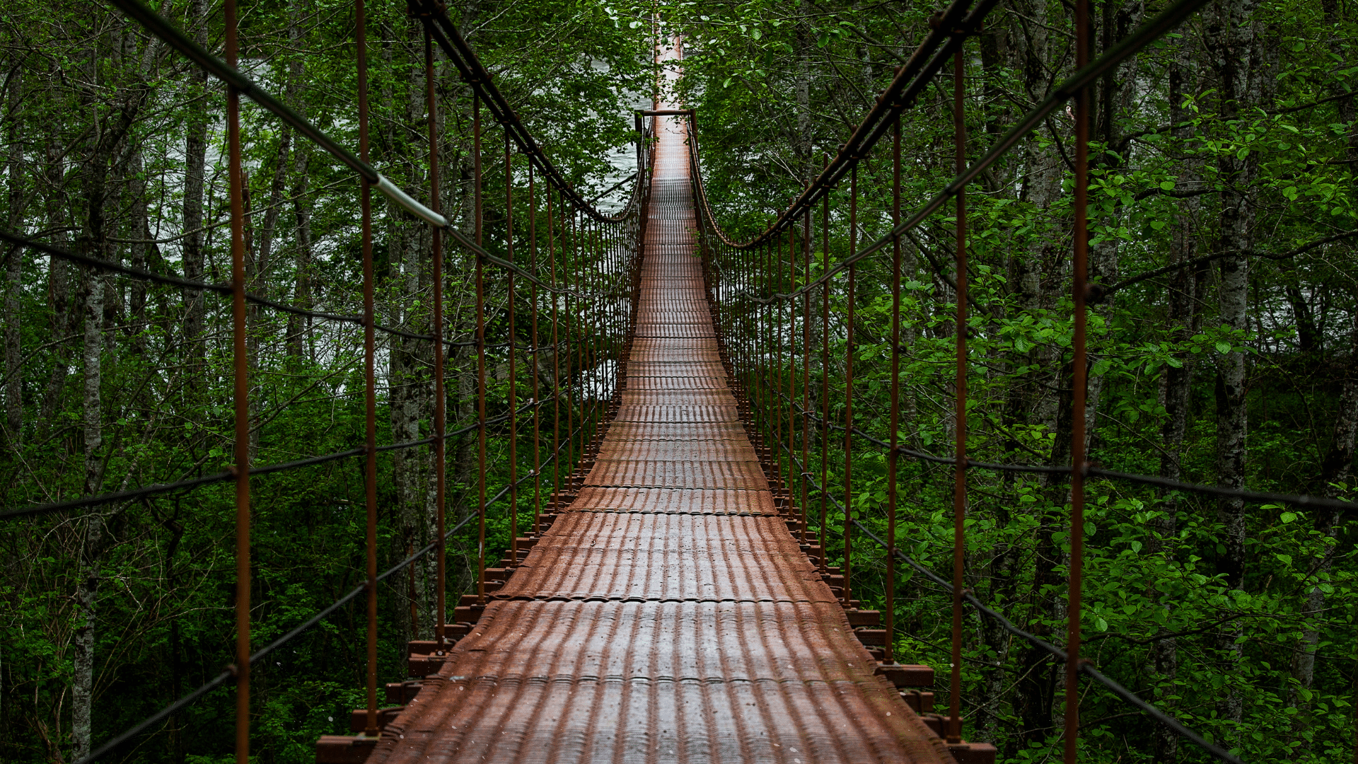 Navigating the IPO Journey image