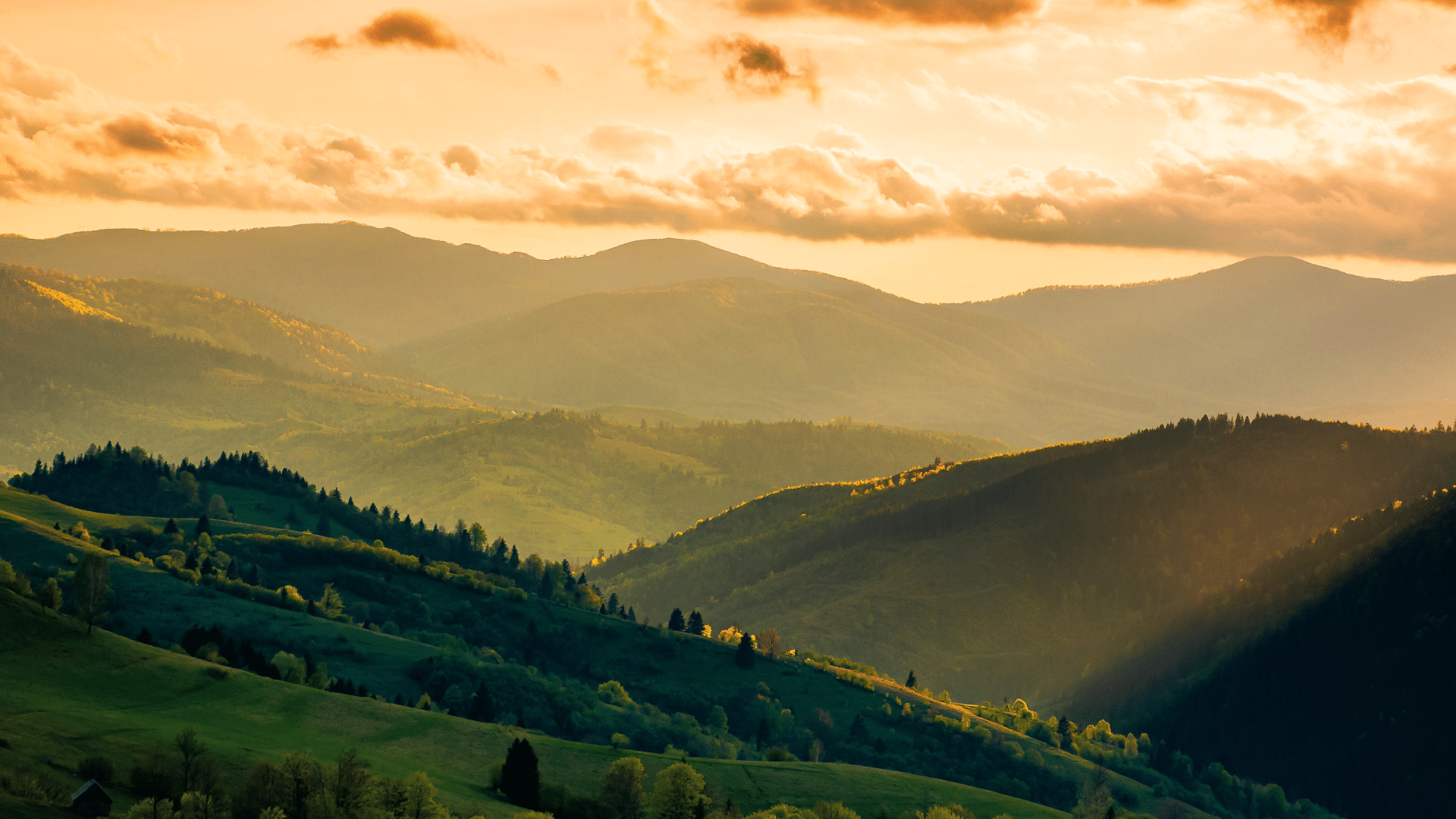 Adjusting Expectations in an Environment of High Valuations image