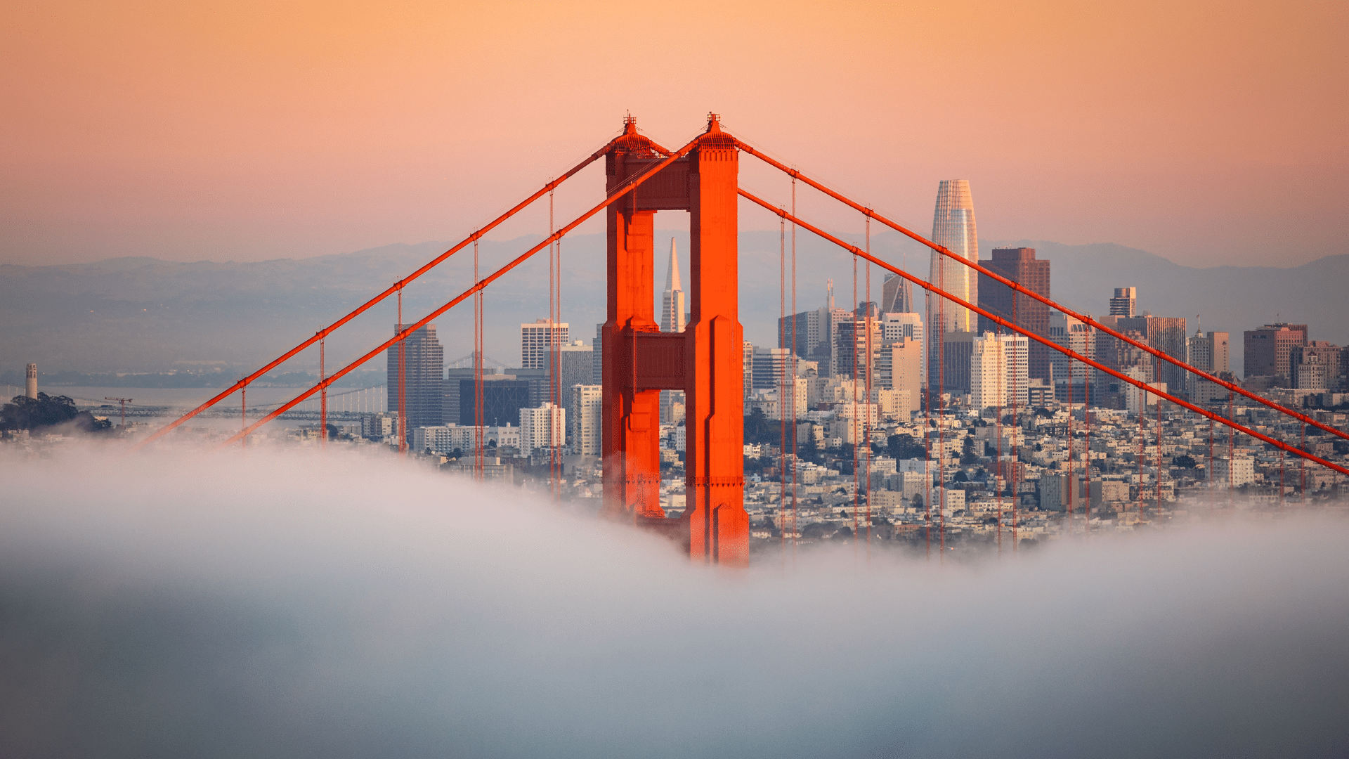 Is Your Investment Strategy Positioned for Uncertain Times? image