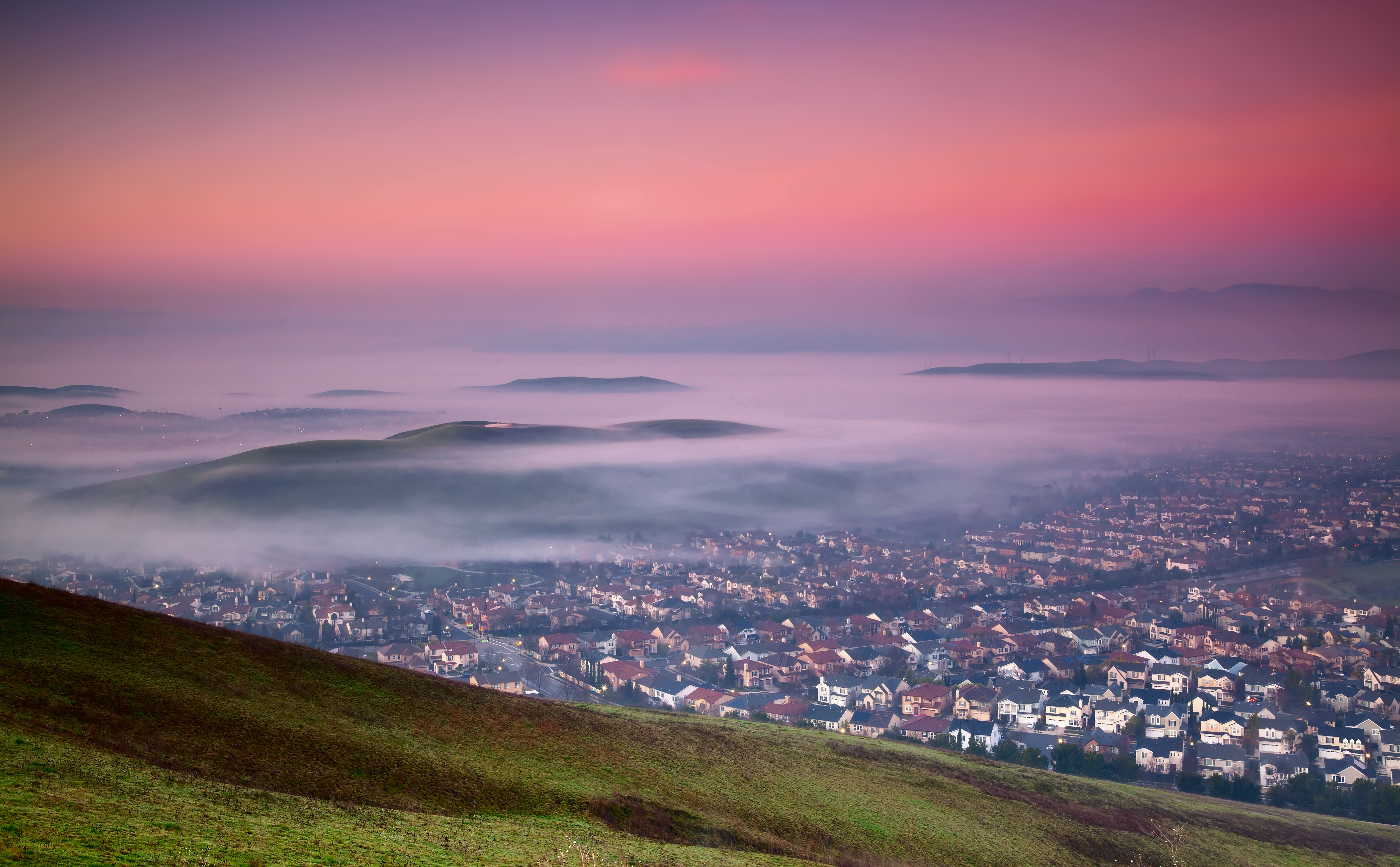 What Happens to Your Equity and Stock Options When Leaving a Company (Termination, Lay Offs, & Quitting) image