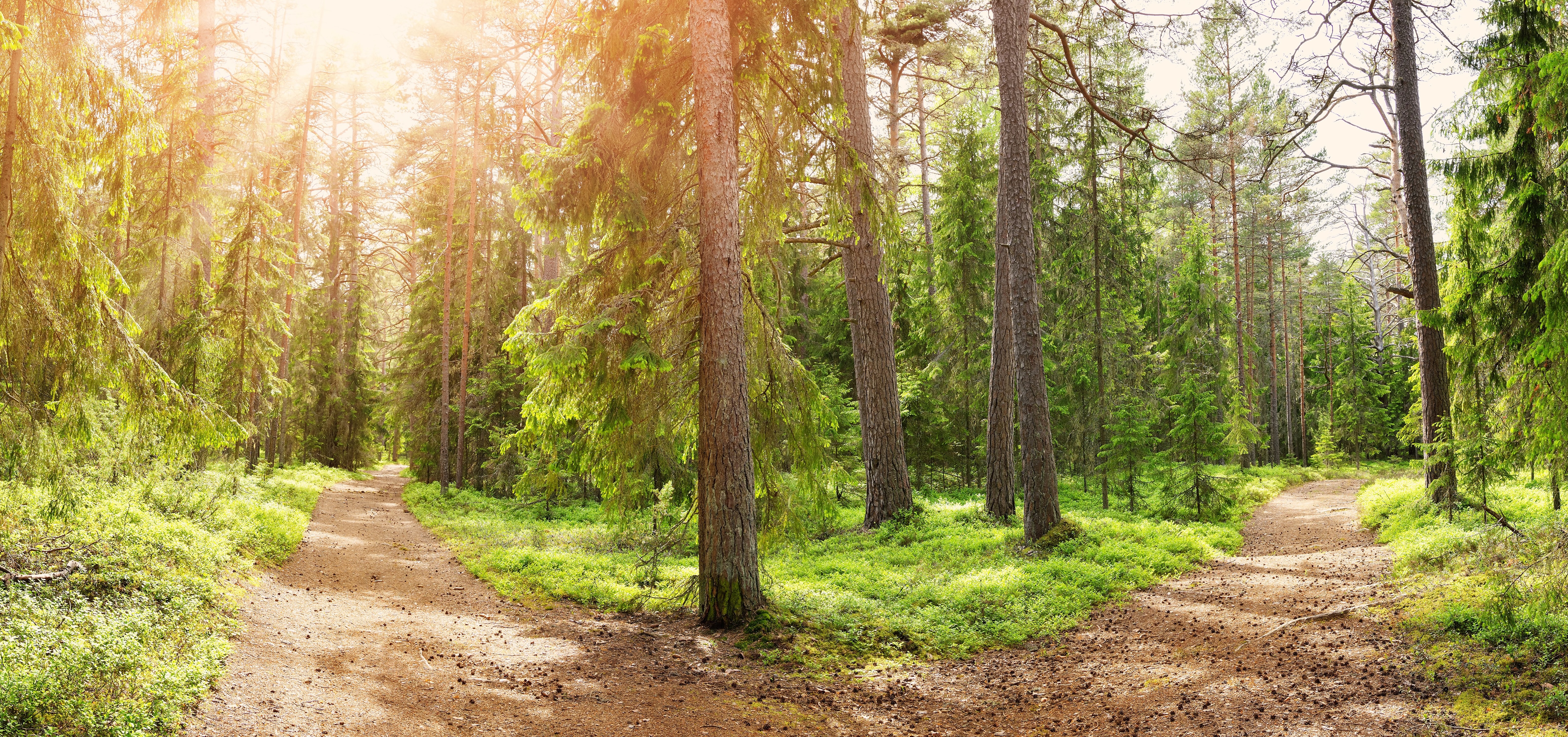 Dividing Stock Options in Divorce: How to Split Your Restricted Stock Units image