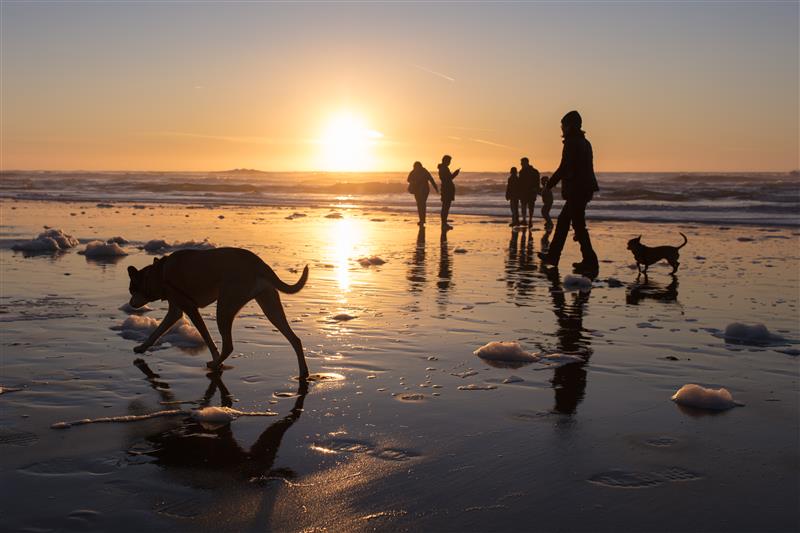 Portability: An Estate Tax Exemption That Could Save Your Family Millions image