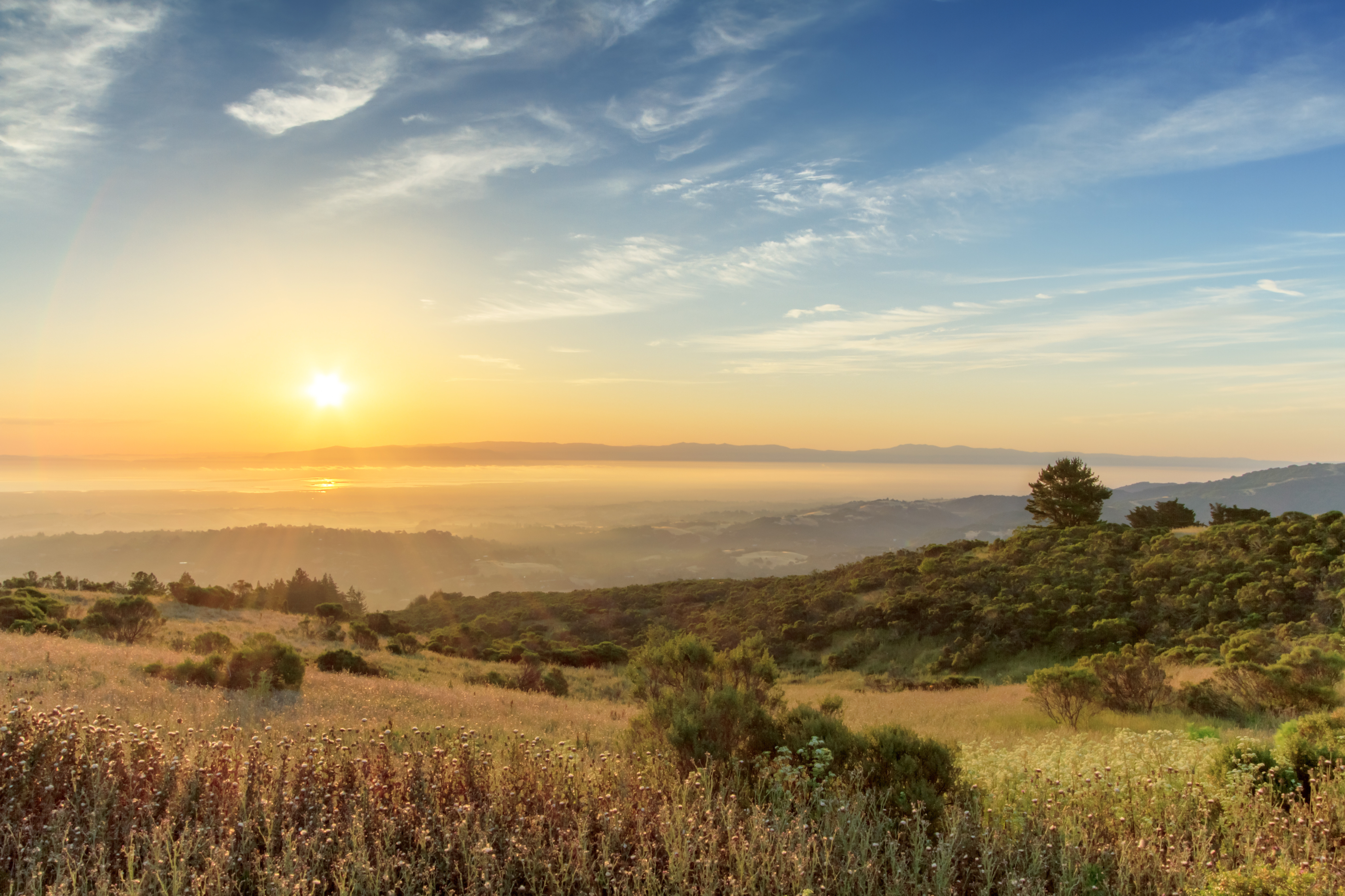 How to Calculate, Plan, and Minimize the Alternative Minimum Tax (AMT) on Your Incentive Stock Options image