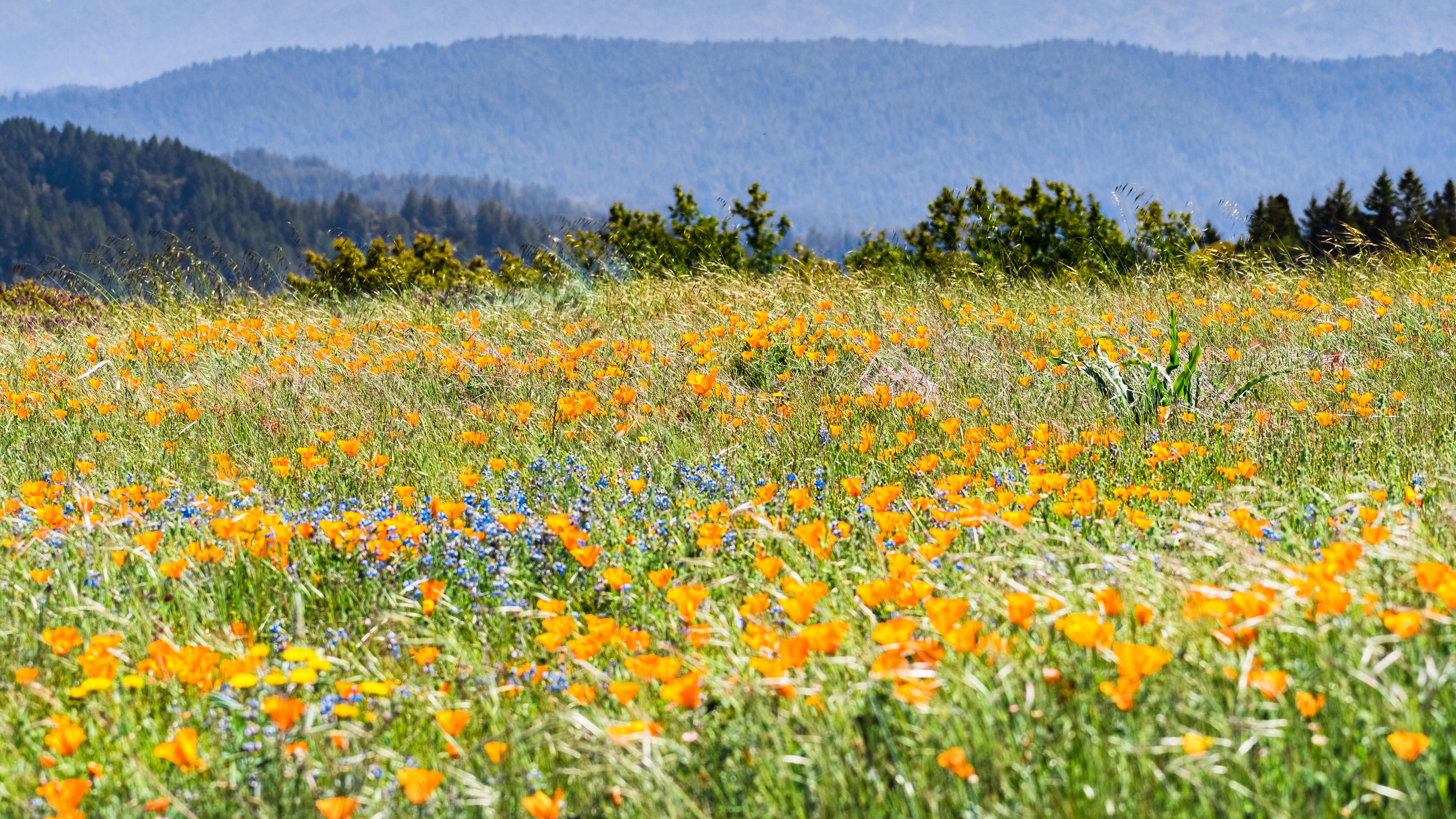 Should You Sell Company Stock to Pay Your Tax Bill? image