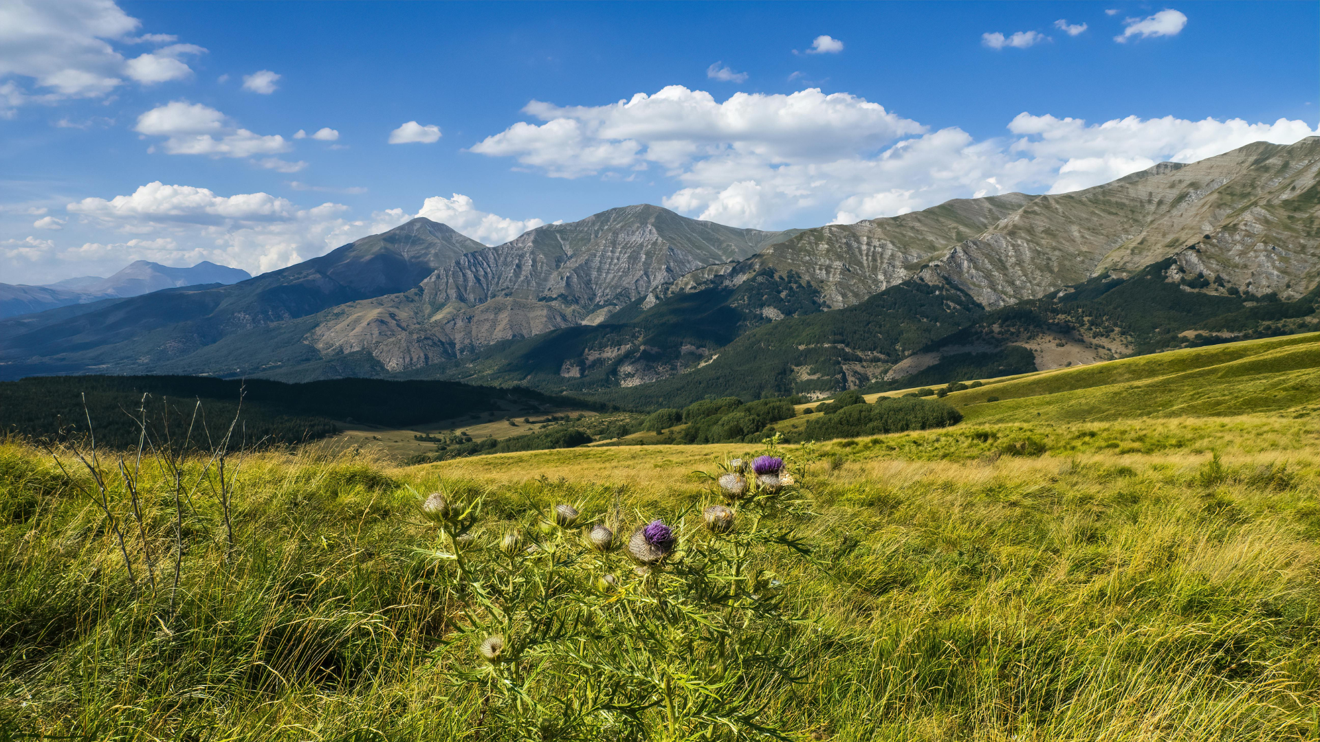 Signal and Noise image