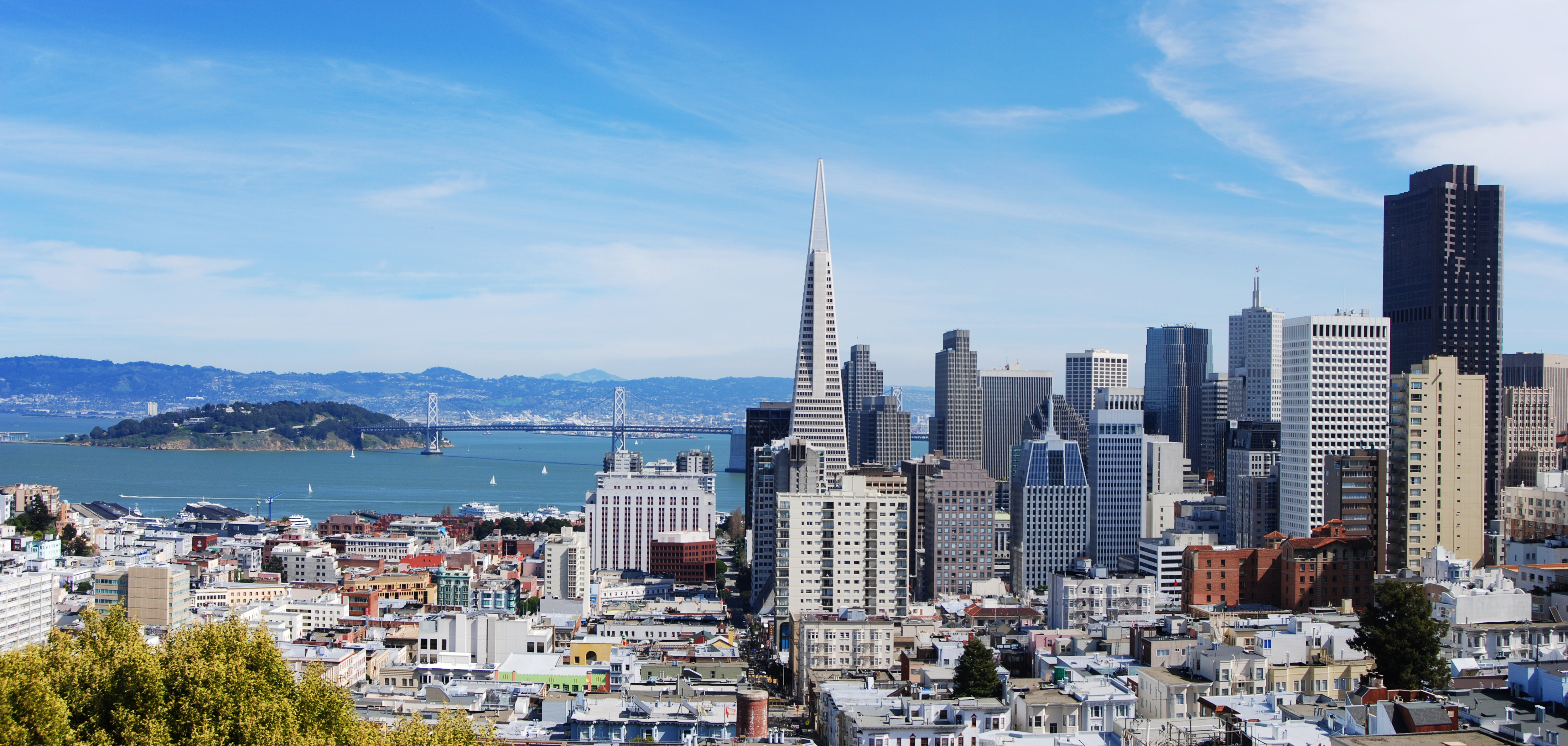How to Choose a Wealth Manager in the Bay Area image